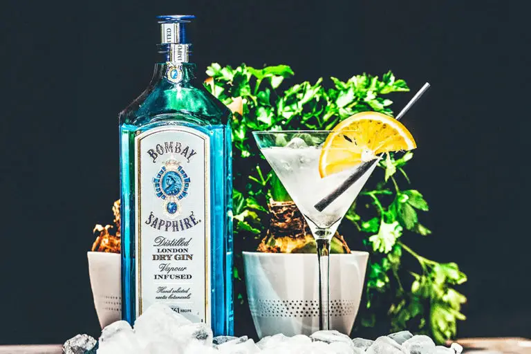 Gin vs Vodka What’s The Difference? Liquid Bread Mag