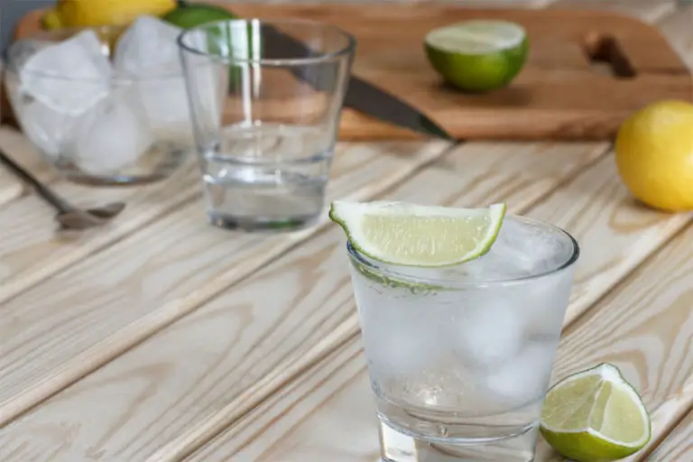 Gin vs Vodka What’s The Difference? Liquid Bread Mag