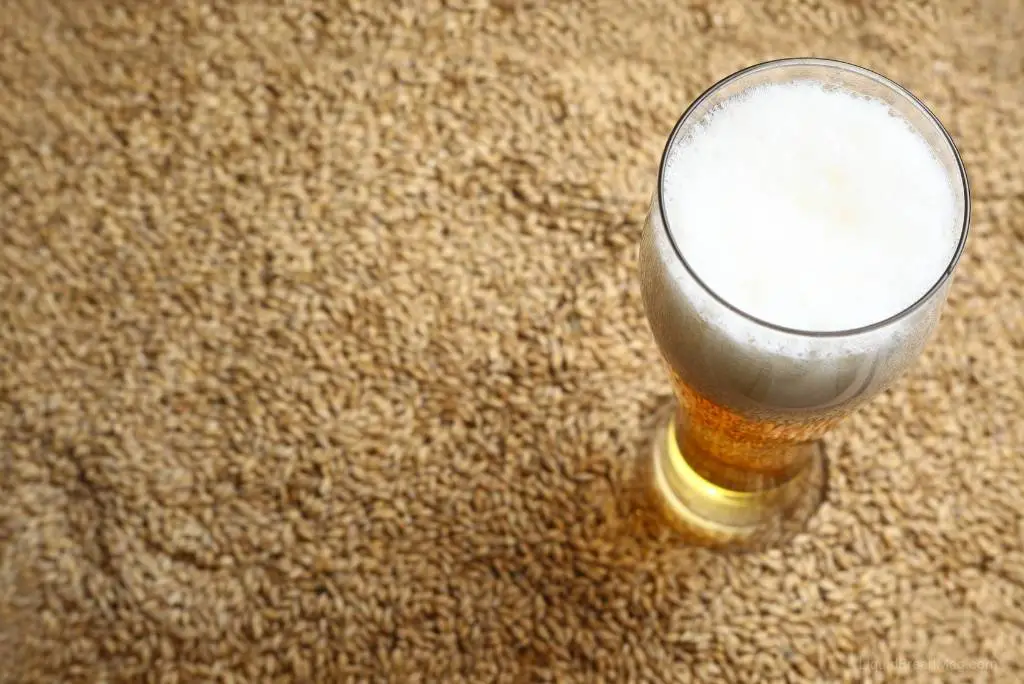 What Exactly Is Malt Liquor? (How It’s Different Than Beer) Liquid