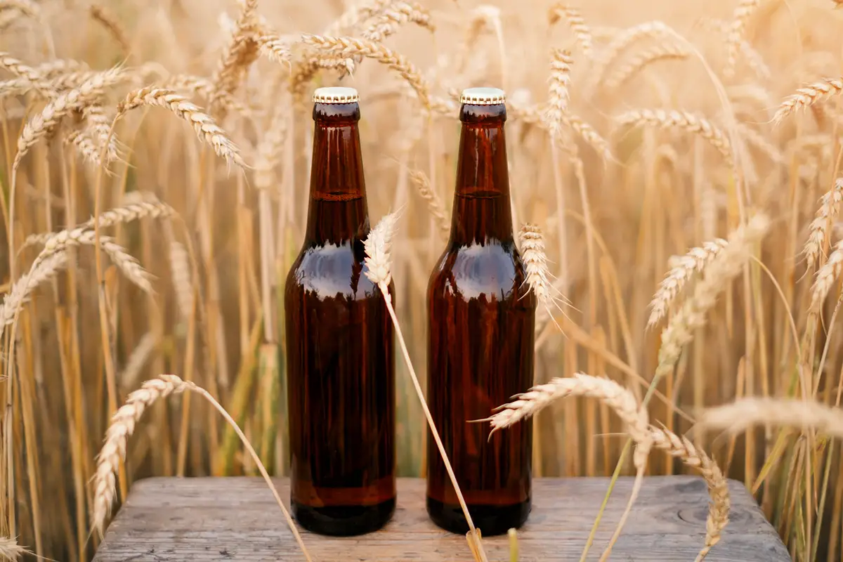 What Exactly Is an Amber Beer? (Explained) Liquid Bread Mag