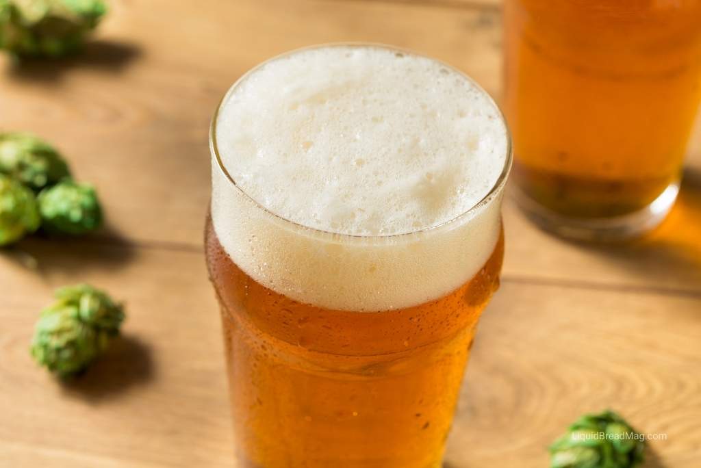 What is a White IPA? (Explained)