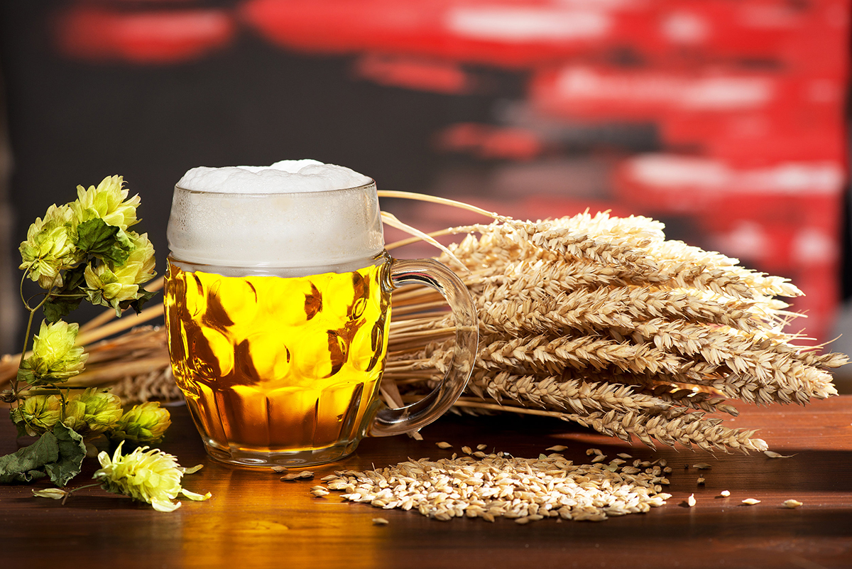 How To Brew a GREAT NonAlcoholic Beer (Easy Guide) Liquid Bread Mag