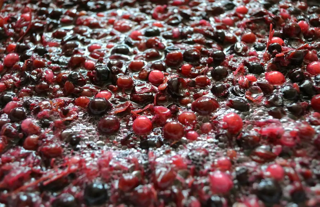 How To Tell When Wine Is Done Fermenting (3 Easy Steps) Liquid Bread Mag